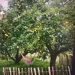 Kapitaenshaus Сasa de vacaciones