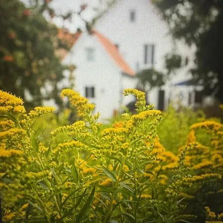 Kapitaenshaus Casa vacanze